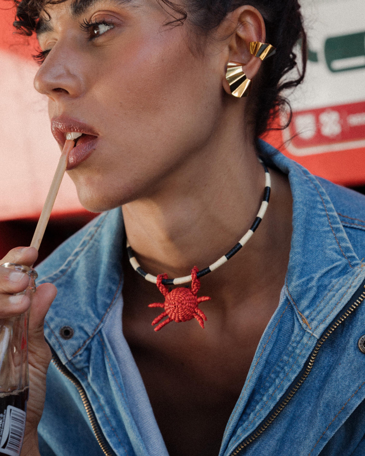 Choker Clarté Animal (Charm Removible x1)